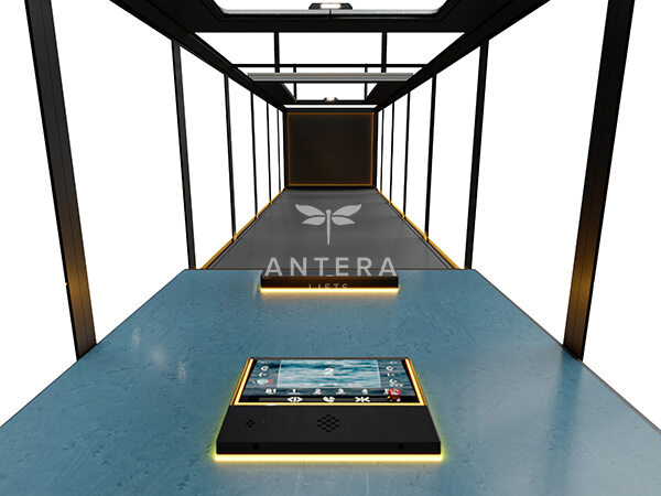 ANTERA 高端定制别墅电梯 - Cibes大发500