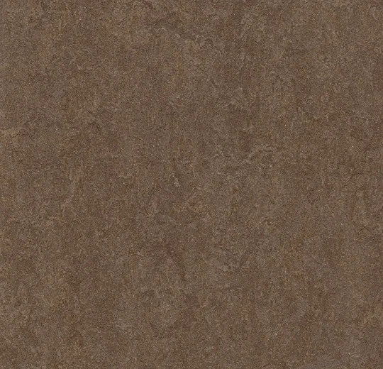3874 Walnut fresco 色调