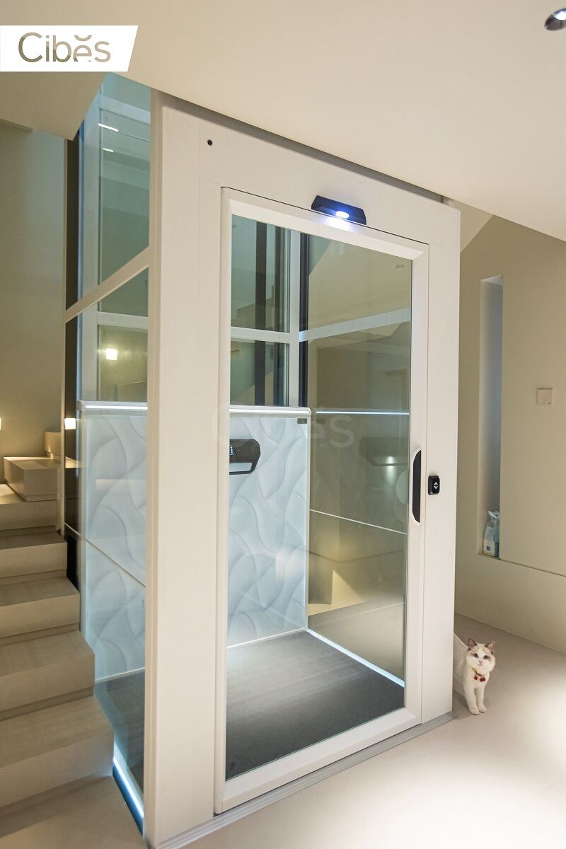 CIBES大发500家用别墅电梯案例赏析